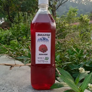 Rhododendron (Buransh Squash)