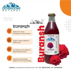 Rhododendron (Buransh Squash)