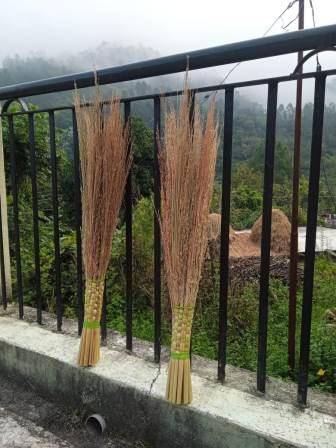Natural Eco Friendly Barley Leaf Broom