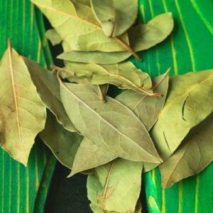 Himalayan Bay Leaf (Tej Patta)