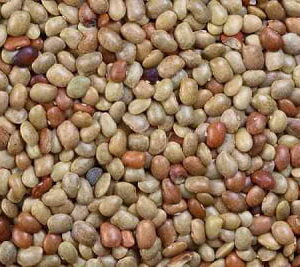 Gahat dal (kulthi dal or horse gram)