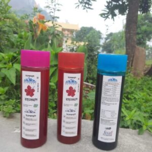 Rhododendron (Buransh Squash)