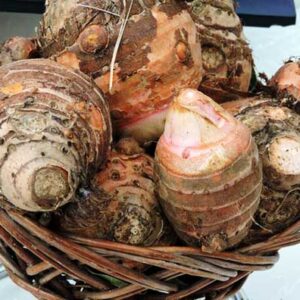 Himalayan Taro/giant colocasia (Gaderi)