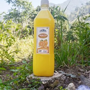 Himalayan Malta Squash